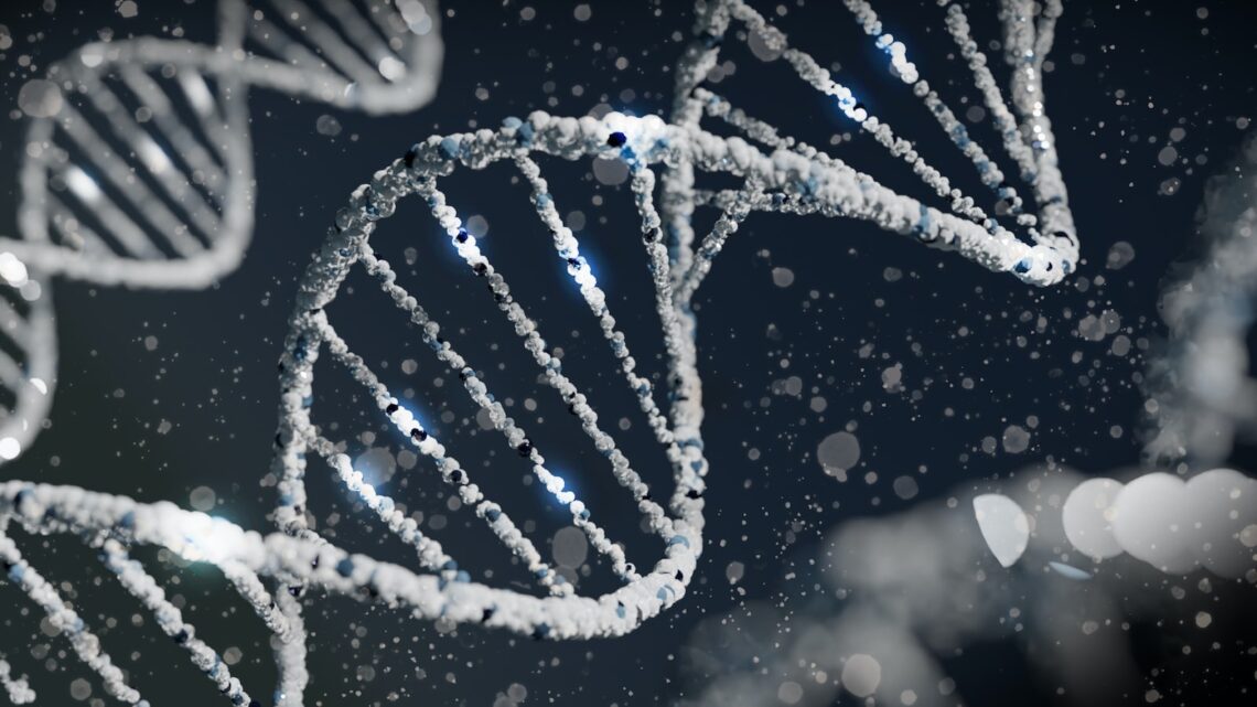 La vérité sur le lien de parenté : Test ADN entre frères et sœurs