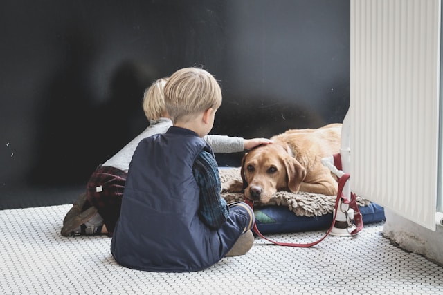 Animaux et enfants